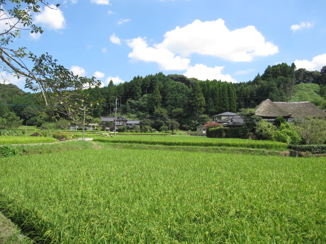 Nishi-Kawanobori Town Jinroku, Takeo City